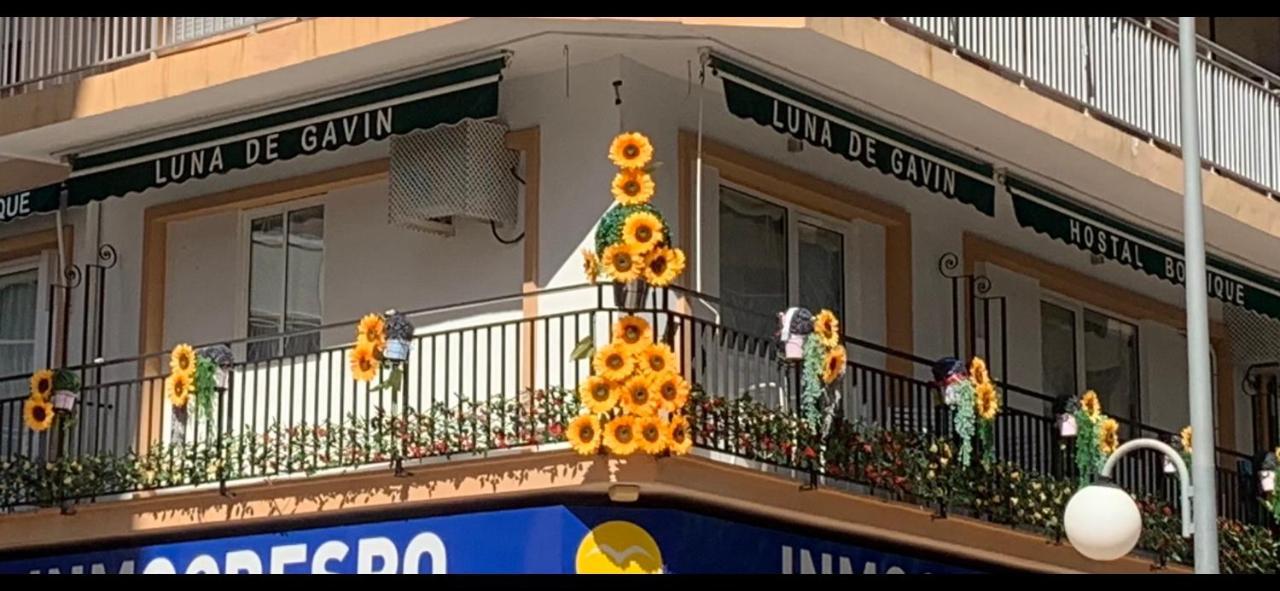 Hostal Boutique Luna De Gavin Cullera Εξωτερικό φωτογραφία