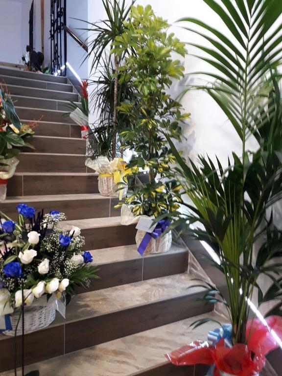 Hostal Boutique Luna De Gavin Cullera Εξωτερικό φωτογραφία